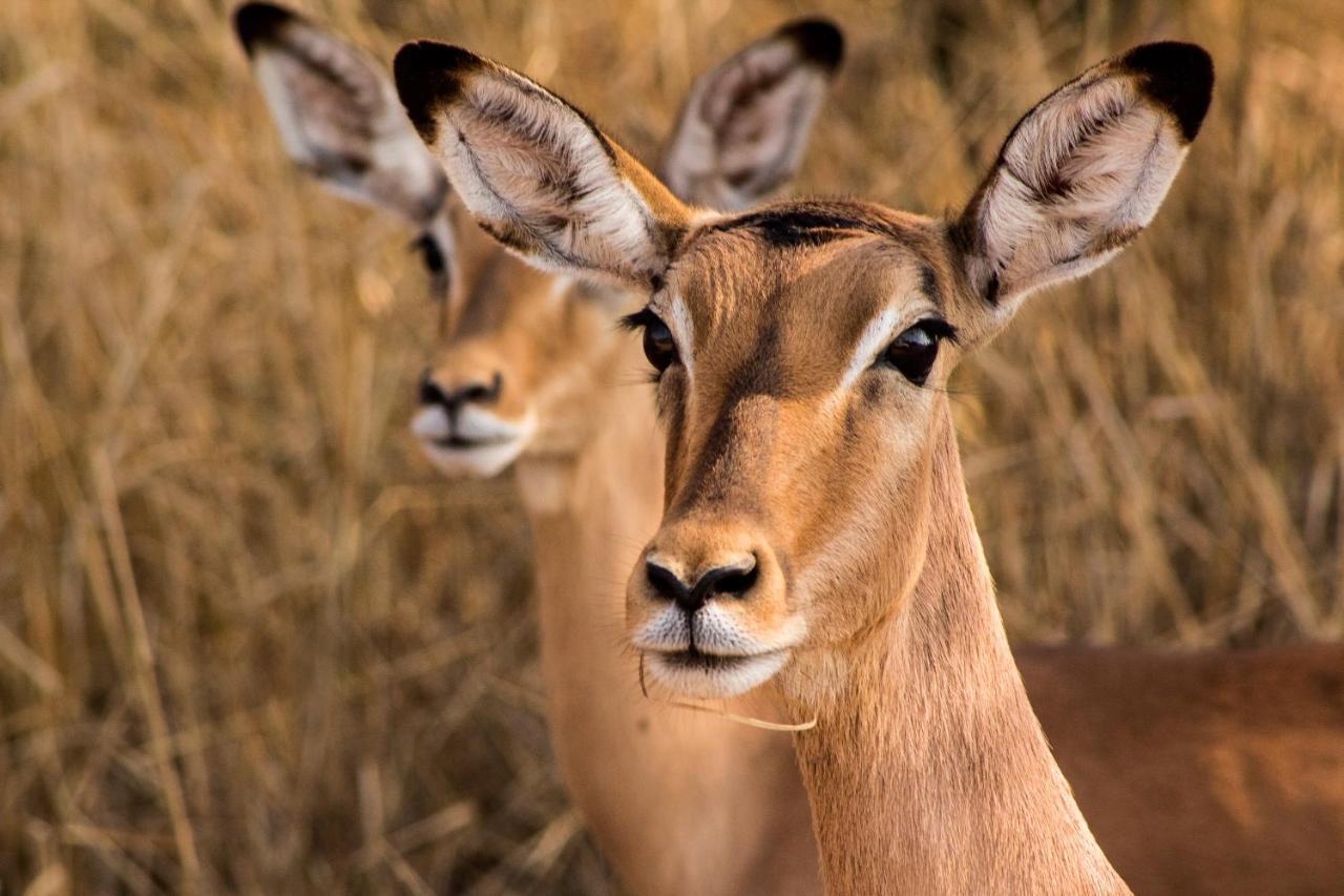 Bass Lake Country Lodge Pretoria Luaran gambar
