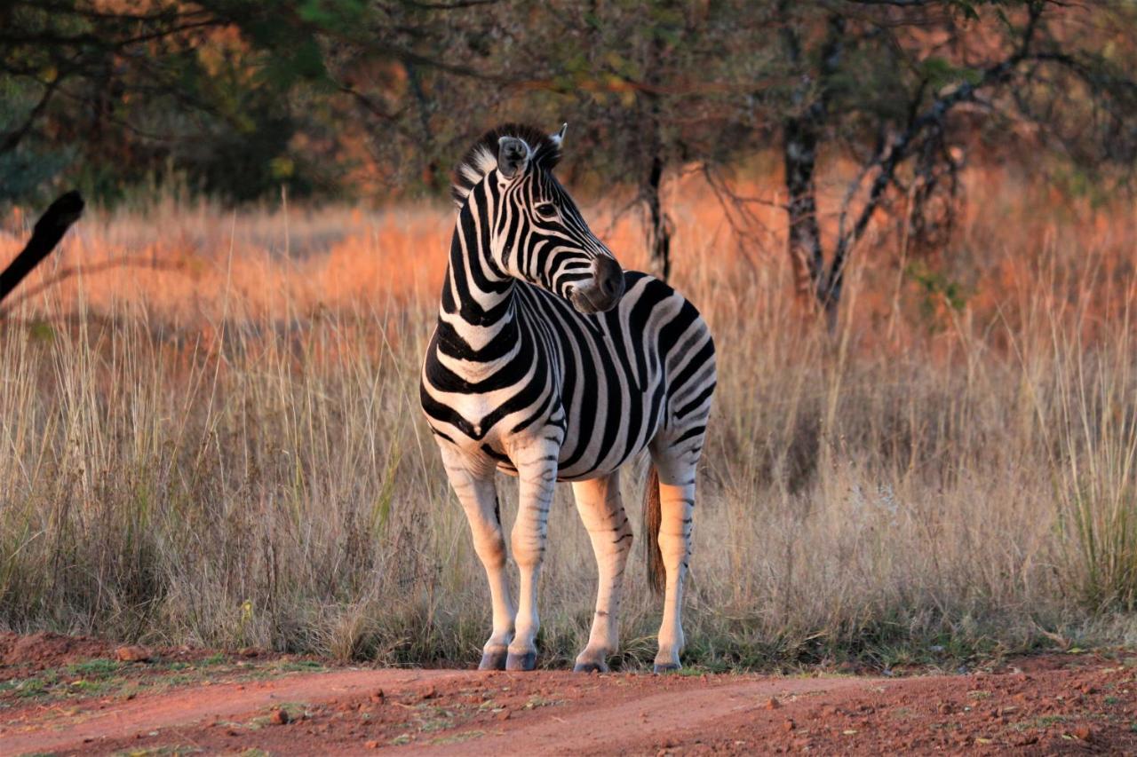Bass Lake Country Lodge Pretoria Luaran gambar