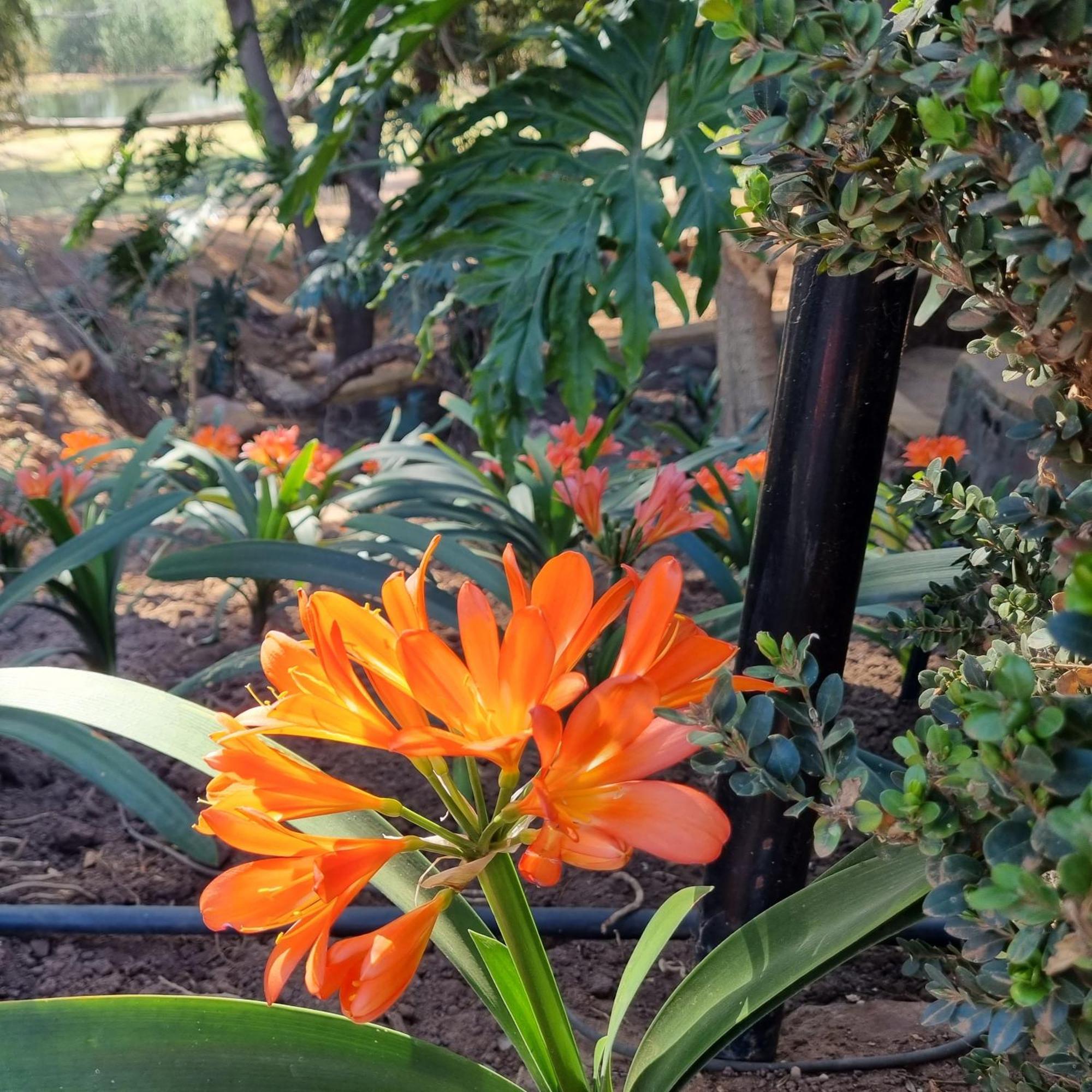 Bass Lake Country Lodge Pretoria Luaran gambar